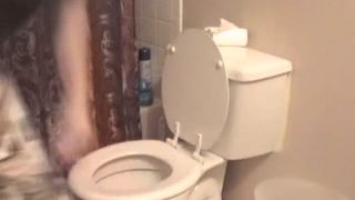 Daydreaming while pooping