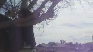 Girl in aTree Pees Herself