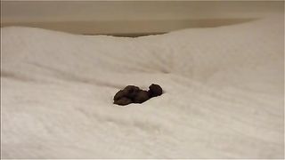 Hot Babe pooping in her bed