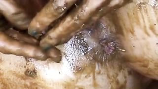 Bitch puts her shit in her vagina