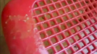 Shitting on the floor while having diarrhea.