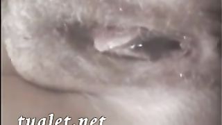 Hairy asshole shitting