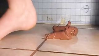 Blonde girl scat video