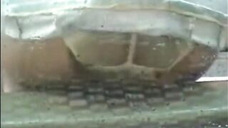 Public panty poop while spreading legs