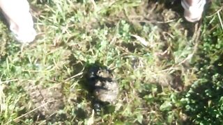 Public shit in the garden