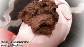 SCAT FEEDER INGRID FROST