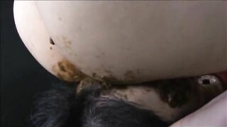 Scat facesitting lesbian