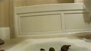 Nasty lady shitting in the toilet