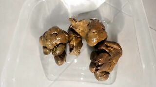 Sexy smooth booty babe poops