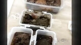 Playing with 3 different shits