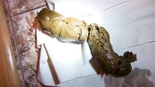 So beautiful and healthy shit