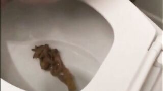 Soft squishy poop in the bowl