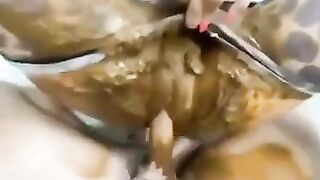 Hot big titty blonde bitch enjoying scat fuck