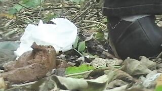 Squidgy shit deep in the woods