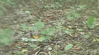 Squidgy shit deep in the woods