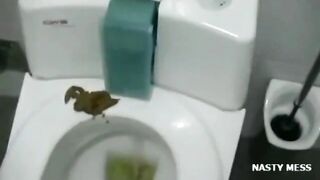 Cute amateur booty wife teasing and pooping