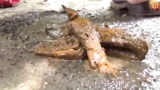 Kinky Japanese milf caught shitting at the road side