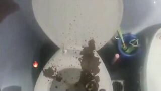 Phat booty making a mess in the toilet
