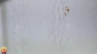 Very long turd in the toilet