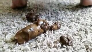 Cute amateur lady showing her horny ass