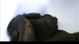 The woman of my dreams shitting