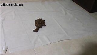 Two big booty women have shit contest