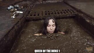 Up to 40 % cowshit porn sale - Compilatiom