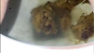 Dirty shit in the toilet