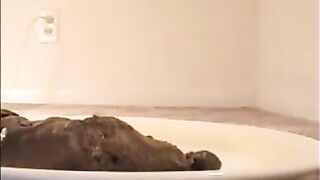 Woman shitting on the white plate