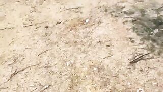 Outdoor scat fuck with sexy lady