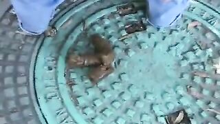 Amateur woman dropping shit in the forest