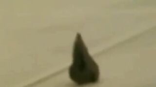 Nice blonde curvy babe shits