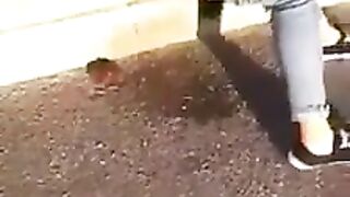 Nice way to poop in the public