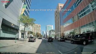 A collection of recent clips