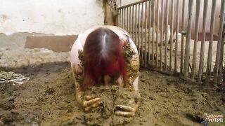 Climax in Pig Shit