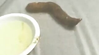 Cute Japanese lady dripping big turd