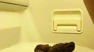 Dirty scat girl pissing and pooping in a planes toilet 