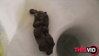 Juicy scat fetish footage featuring a never seen filmed