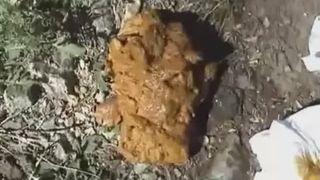 Pooping in the woods