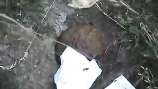 Pooping in the woods