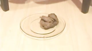 Pooping girls compilation