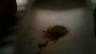 Diarheea from my girlfriend