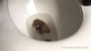 Brazilian girl pooping in the toilet