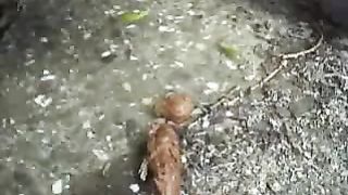 Rochelle pooping at the farm