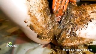 Scat Pussy Fisting