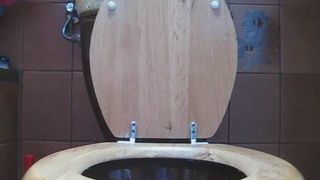 Shit and pee in a toilet