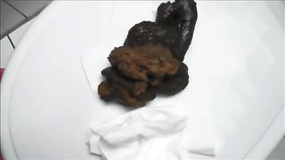 Pile of shit in a toilet