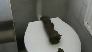 Dildo with shit on it