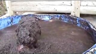 Dropped in a pool of shit