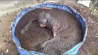 Dropped in a pool of shit